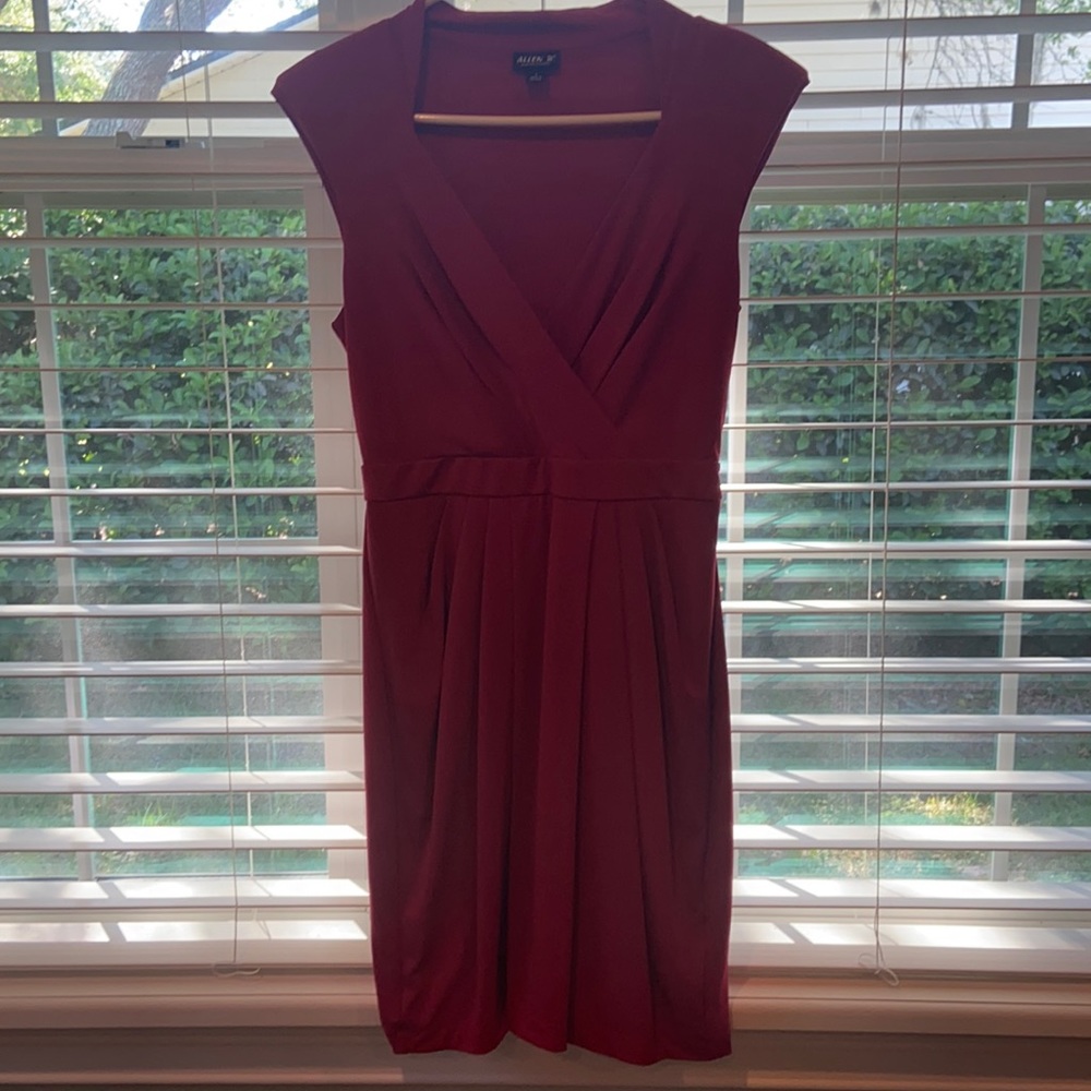 Wine colored knee length, v neck dress.
